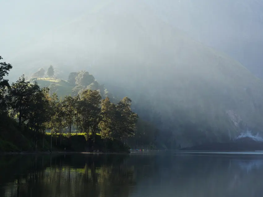 Morning mist over the crater lake, pines along the shoreline
