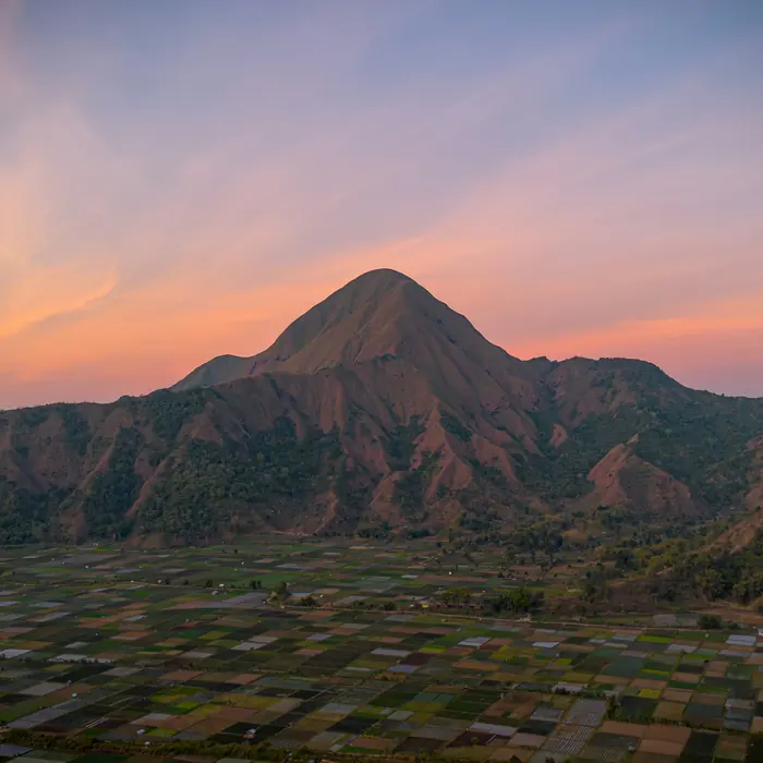 Sunset over rice fields below a volcanic hill